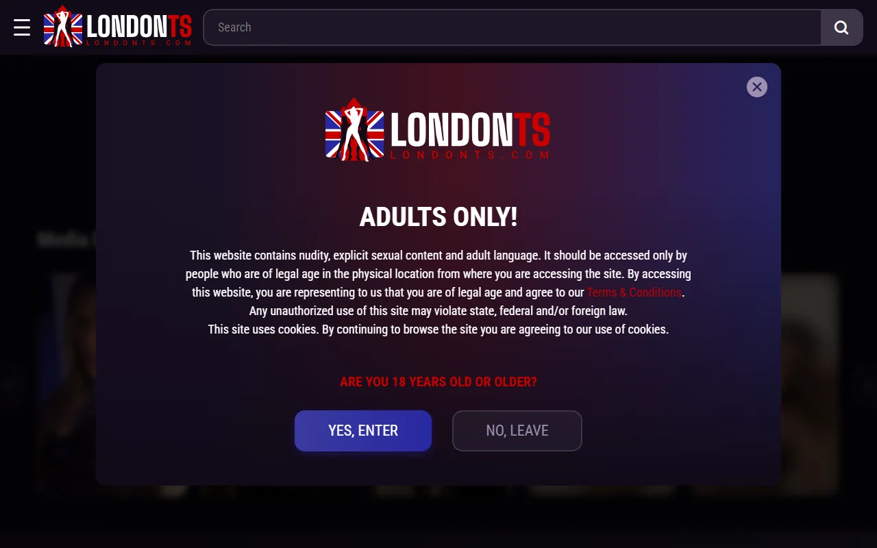 Screenshot of Londonts